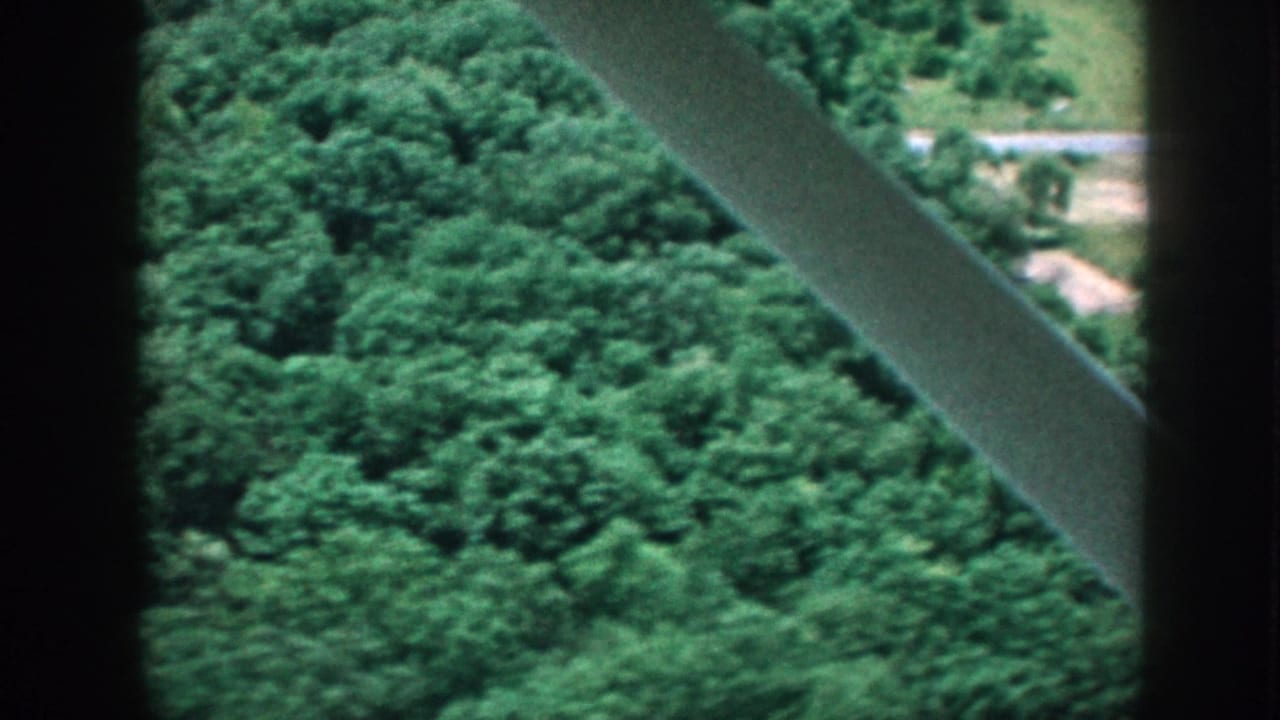 Aircraft window view over dense green forest with a diagonal structural strut crossing the frame.