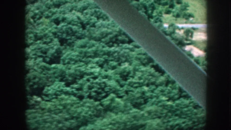 1958 Nebraska aircraft-window view over a dense forest canopy, with dark window edges and a diagonal aircraft strut visible.