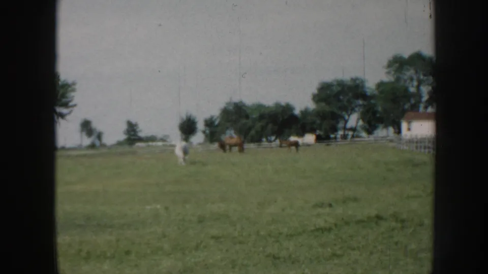 1958 Nebraska 8mm frame showing a white horse and brown horses grazing in a green pasture bordered by trees, with a distant fence and small building.