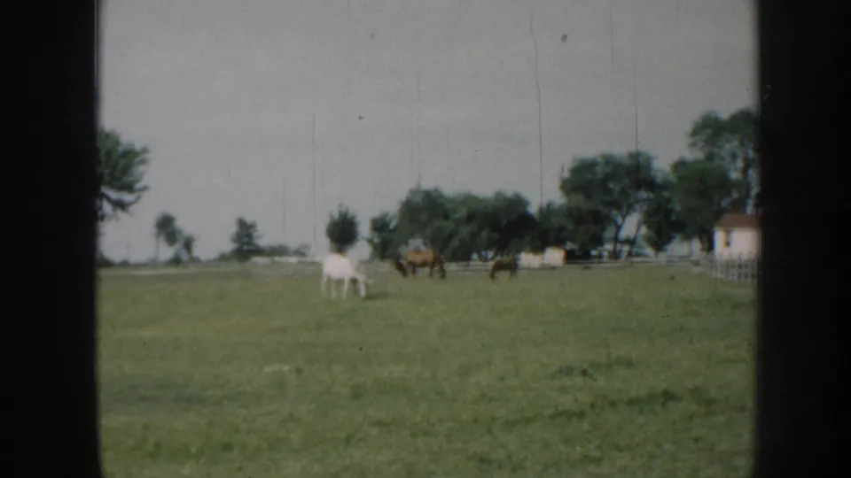 1958 Nebraska 8mm frame showing horses grazing in a broad green pasture, with trees, a fence, and a small building in the background.