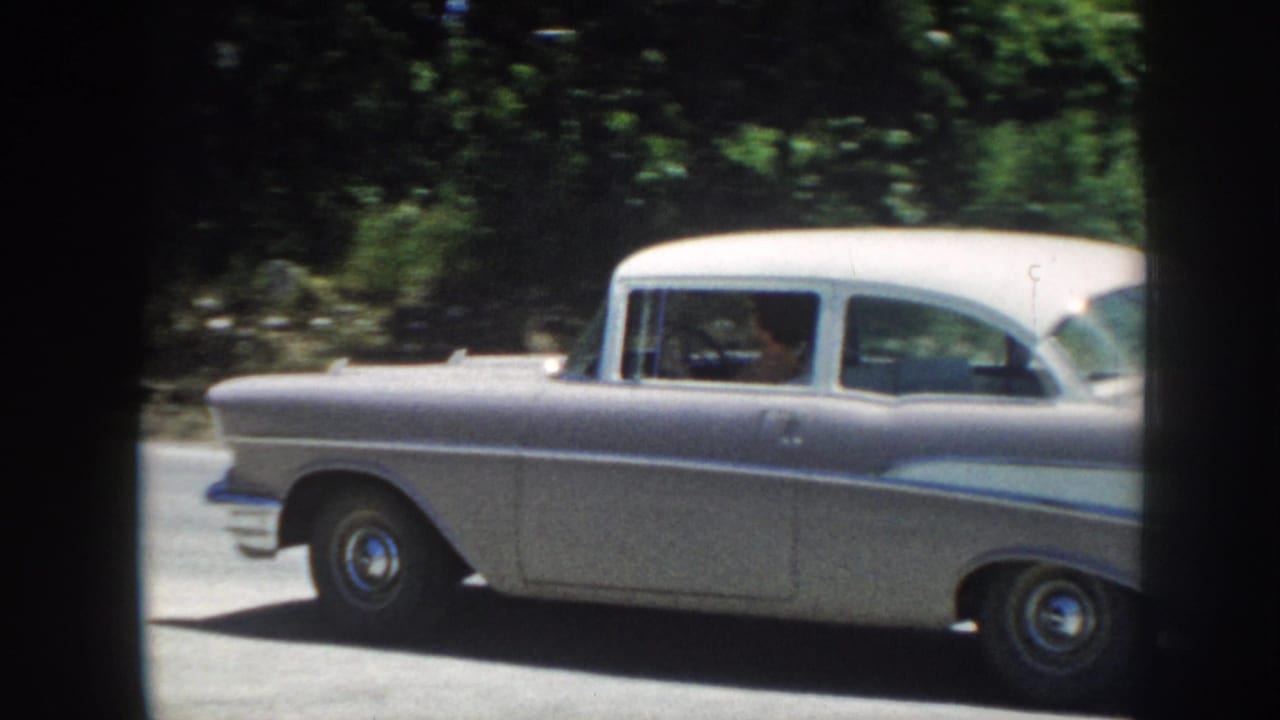 Silver 1950s sedan passing along a sunny tree-lined road.