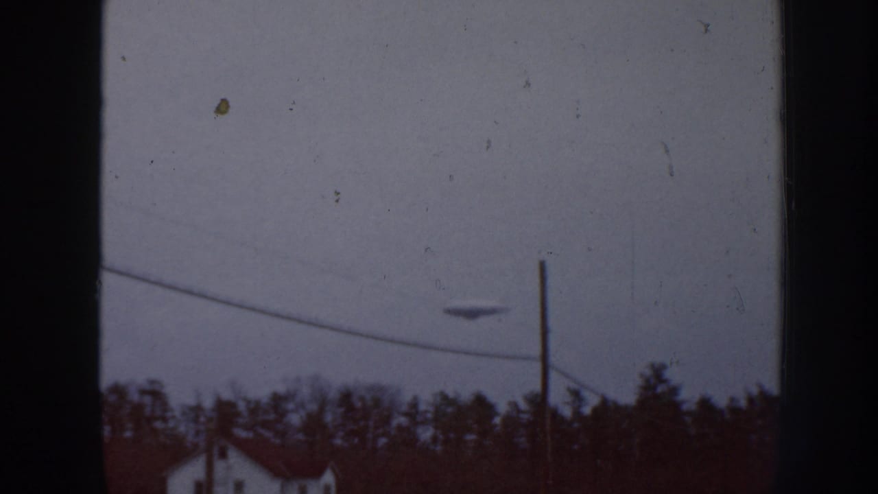 Dark disc-like object above trees near a utility pole and sloping wire.