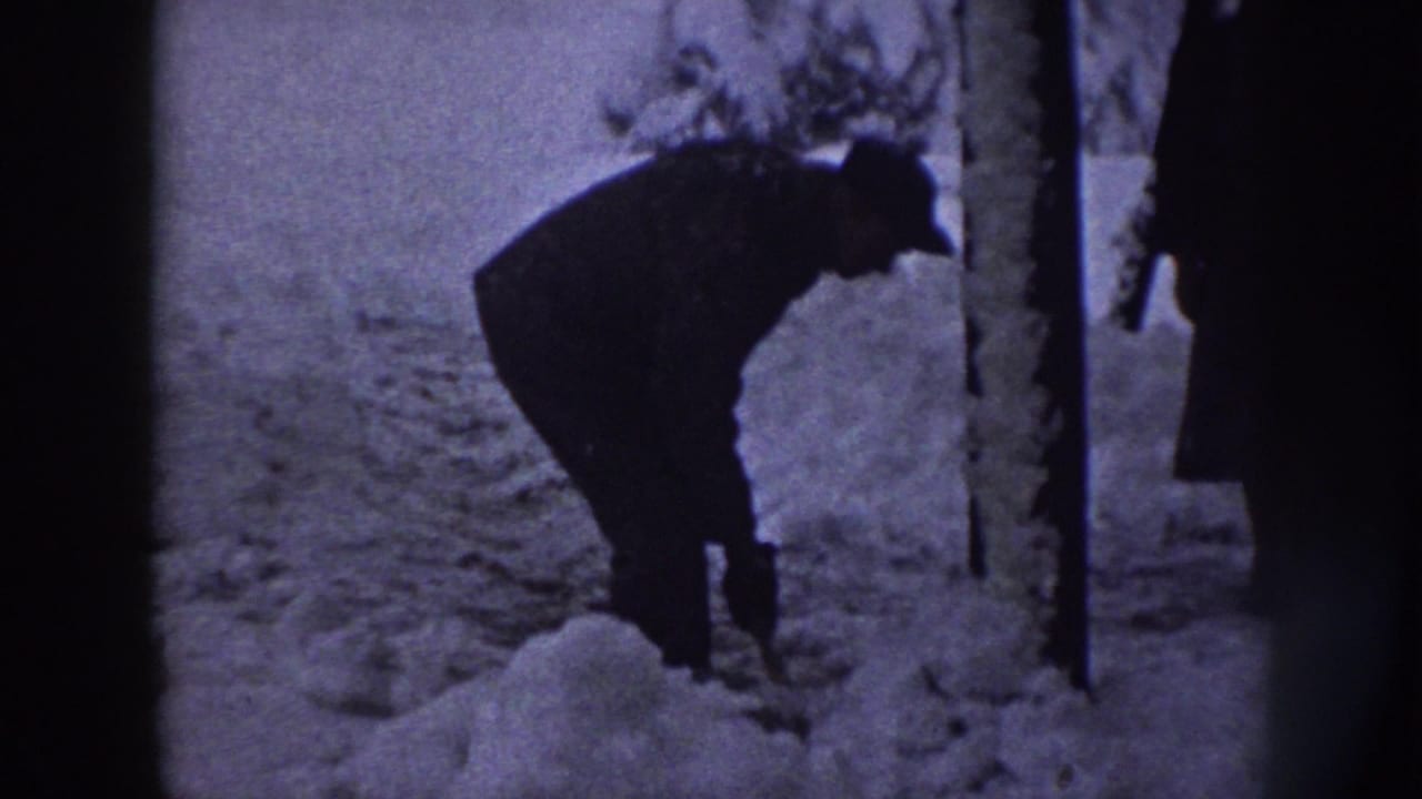 Man in dark coat bends over a shovel in deep snow beside tree trunks.
