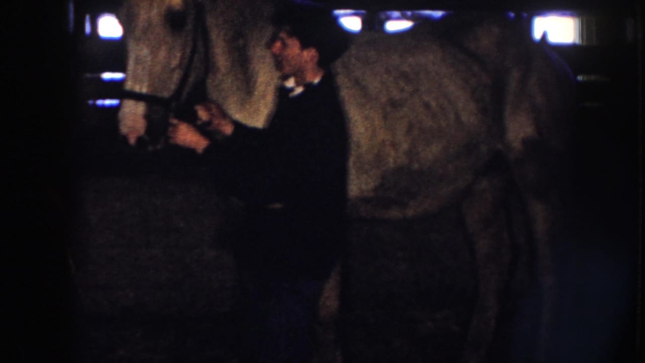 In a Nebraska 1958 barn scene, a man stands near the head of an adult horse in low light, with stall shadows and daylight slats behind him.