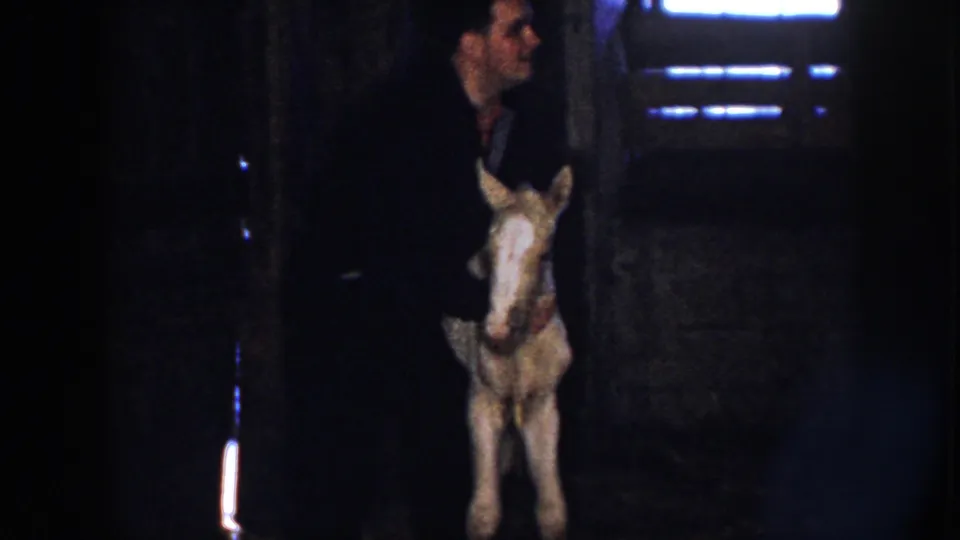 A man in dark clothing stands behind the foal inside the Nebraska barn, with the newborn horse facing the camera in grainy 8mm footage.