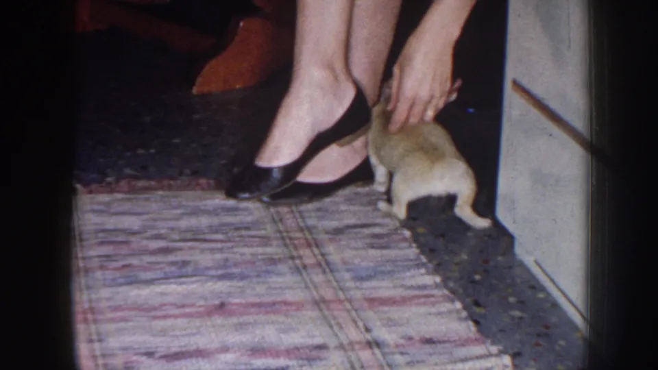 The woman bends forward to pet the cream-colored puppy as it stands partly on the dark carpet beside the patterned rug.