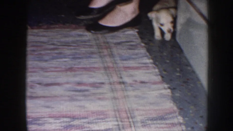 The puppy pauses near the side of the room while a woman's black heels stand beside the plaid rug in 1958 Nebraska footage.