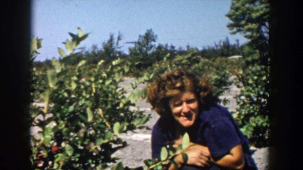 In 1958 Michigan home-movie footage, a curly-haired woman smiles while crouched among rows of green berry bushes.