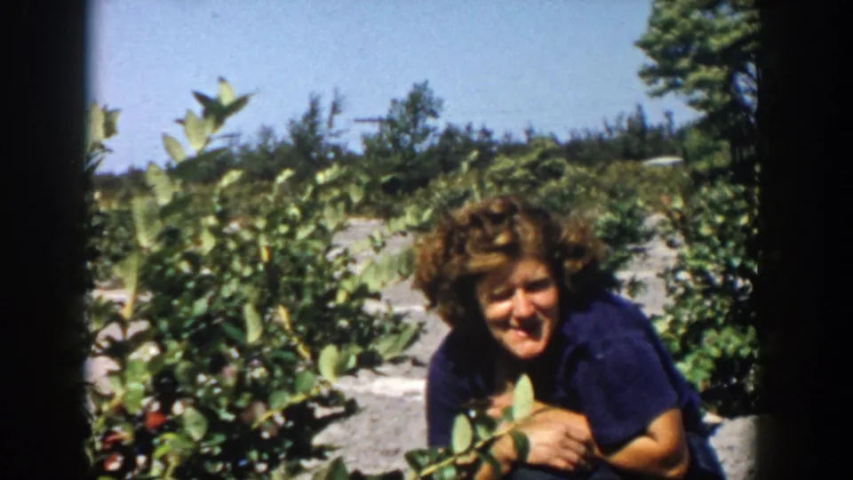 In 1958 Michigan home-movie footage, a curly-haired woman smiles while crouched among rows of green berry bushes.