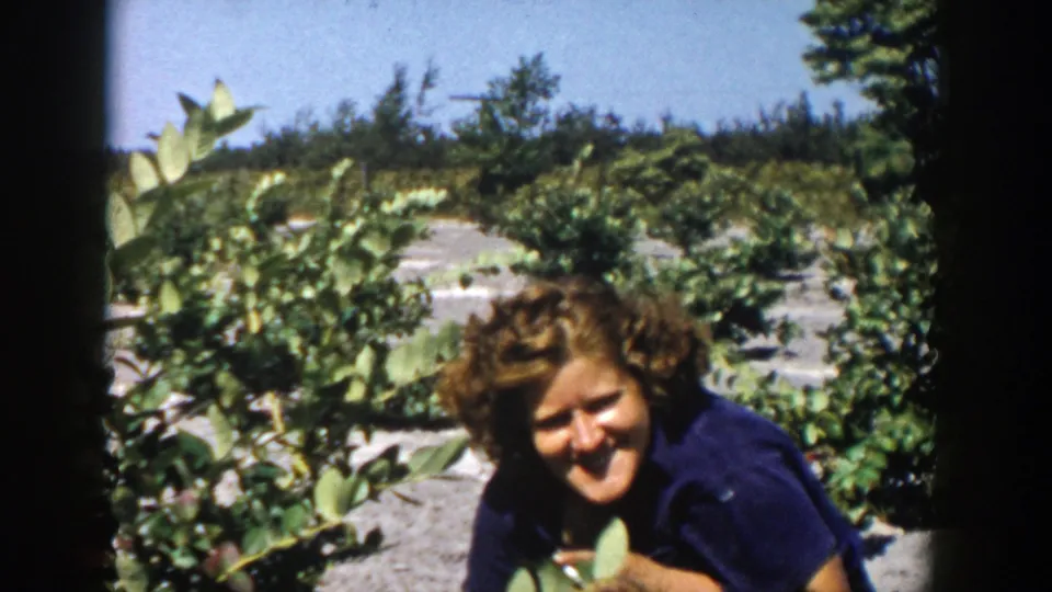 A close home-movie view shows the woman smiling beside blueberry foliage in the Michigan field.