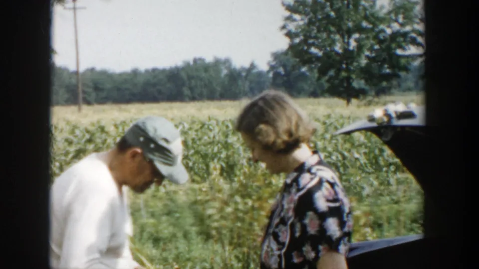 A man in a cap and a woman in a floral dress look down near corn rows in rural Michigan, with a parked car partly visible.