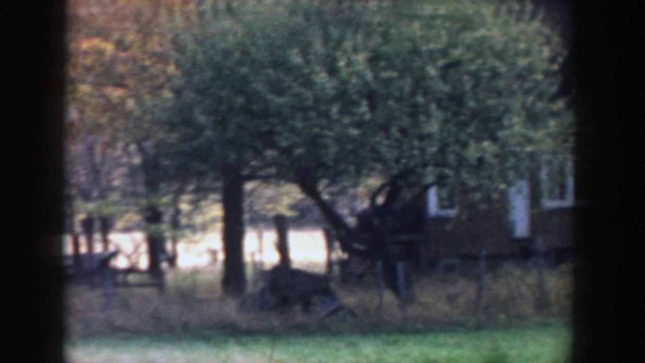 1958 Michigan 8mm frame showing a grassy rural yard, fall trees, and a partially hidden structure beyond dark foreground framing.
