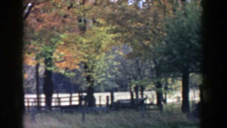 1958 Michigan 8mm frame with fall-colored trees, a wooden fence, grass, and a small outbuilding or shed in the background.