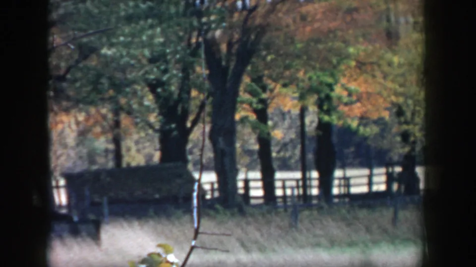 1958 Michigan 8mm frame showing tree trunks, orange-green fall foliage, grass, and a wooden fence in a quiet rural setting.