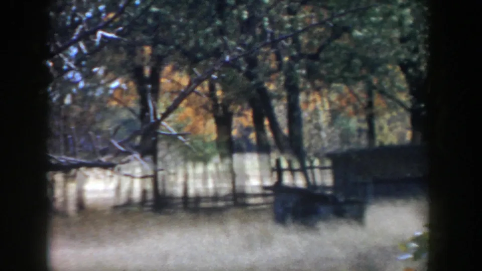 1958 Michigan 8mm frame looking through branches toward a fence, fall trees, tall grass, and a dark shed-like form at right.