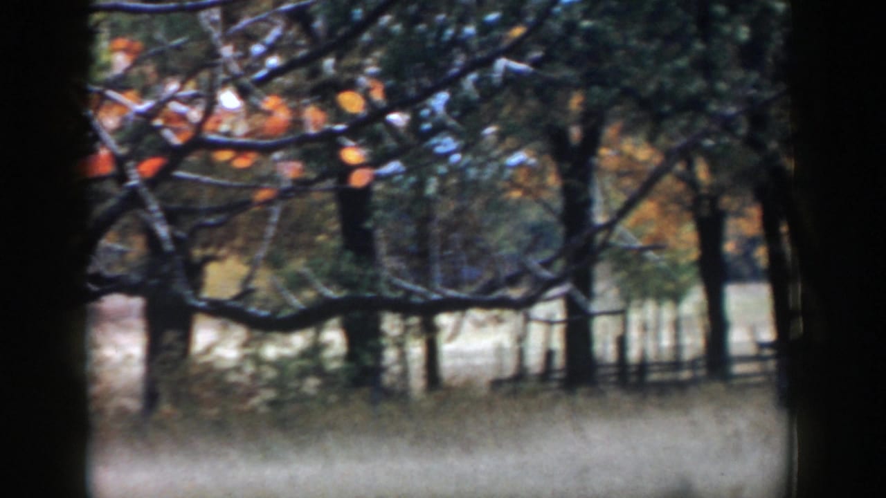 Autumn trees and grass viewed through dark window-like borders.