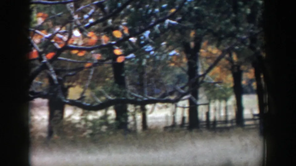 1958 Michigan 8mm frame showing autumn trees, pale grass, fencing, and dark vertical frame edges in a rural yard.