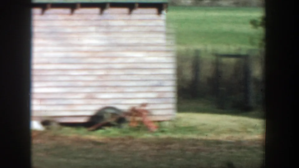 Soft 8mm frame showing a pale shed wall, grass, fence, and blurred yard details in the Michigan backyard.