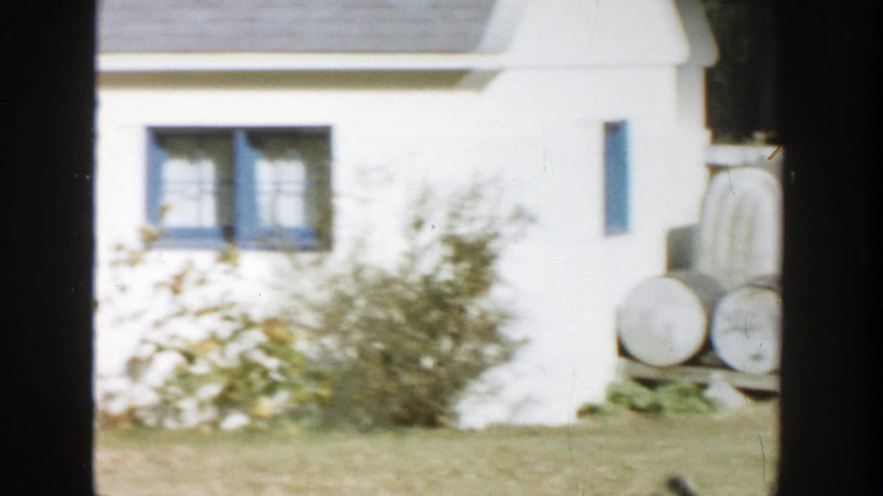 1958 Michigan home-movie view of a white suburban house with blue window trim, partially framed by dark tree trunks and a lawn.