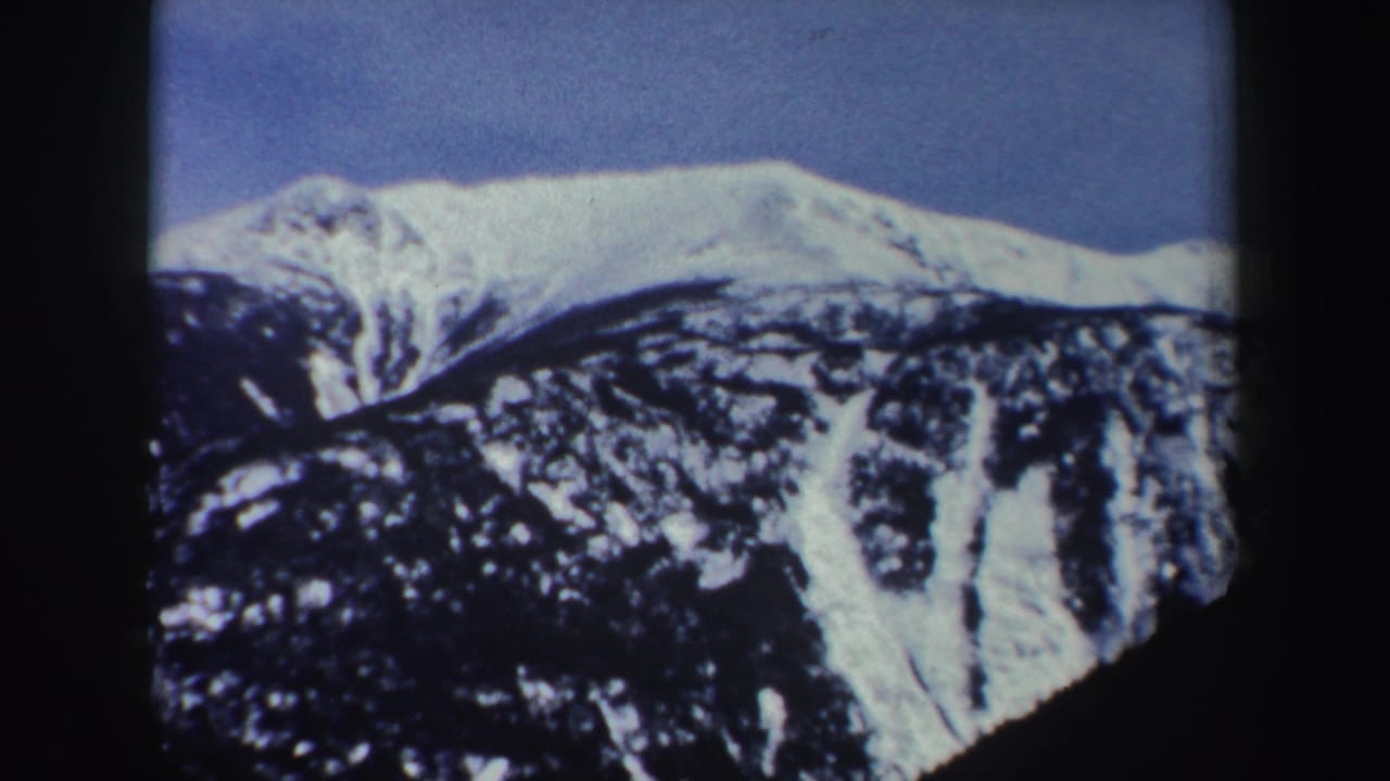 Snow-capped mountain ridge under blue sky with dark wooded slopes below.