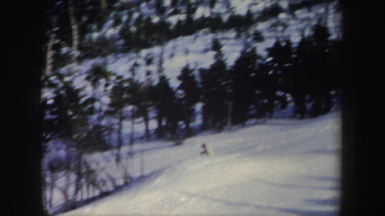 Distant skier descending a snowy slope bordered by dark evergreen trees.