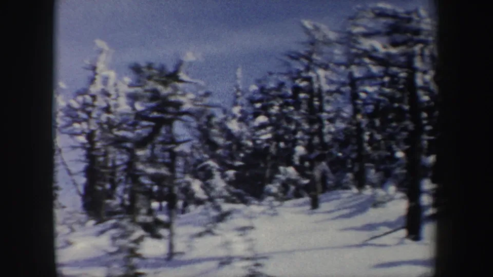A wooded New York winter slope appears in soft 8mm color, with snowbanks, tree shadows, and dense evergreens.