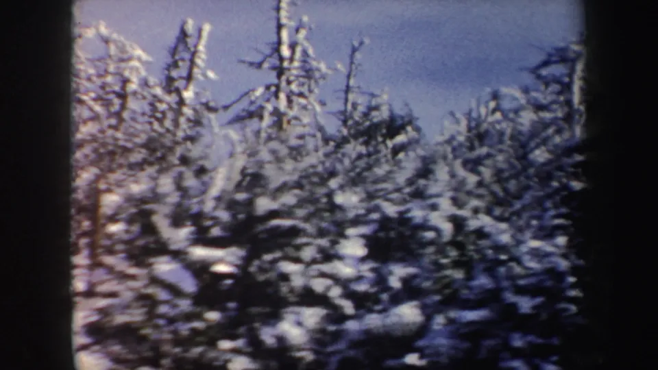 1962 New York 8mm frame showing snow-laden evergreen trees and bare trunks beneath a cold blue sky, with dark film borders visible.