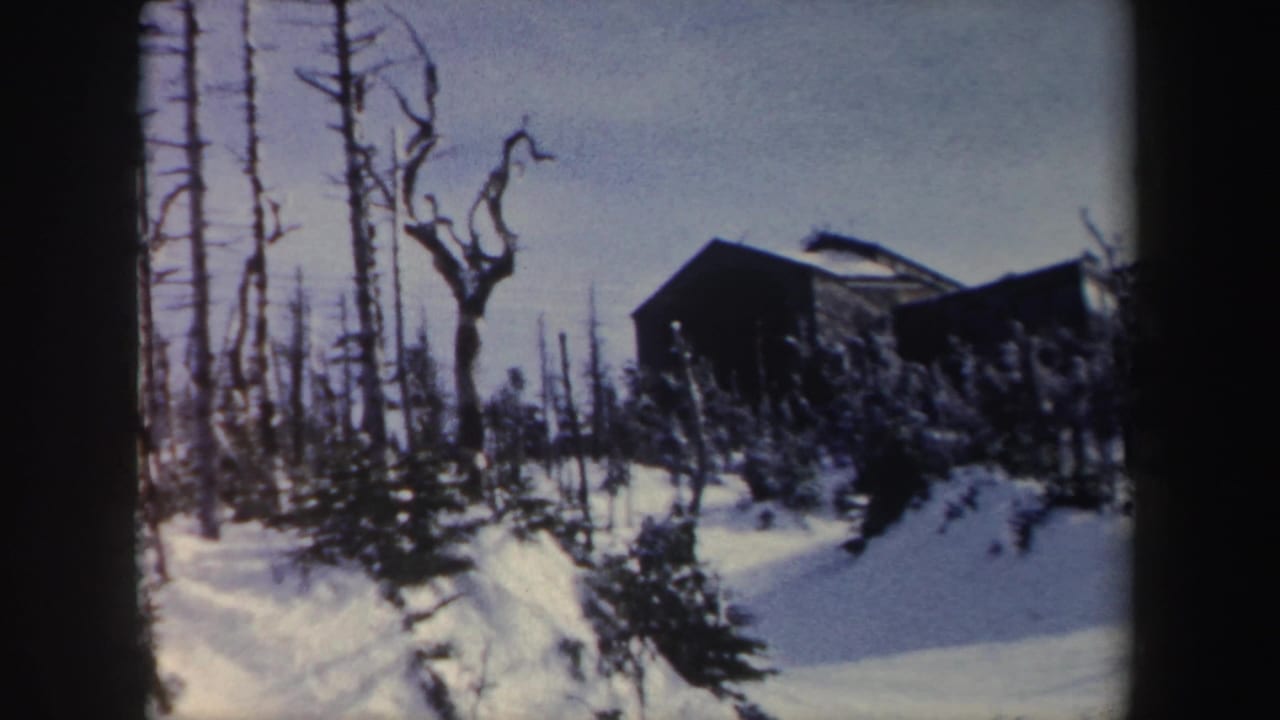 1962 New York 8mm frame showing a snowy wooded slope with evergreens, bare trees, and a dark cabin-like structure above the hill.