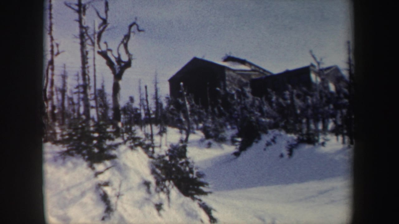 Snowy wooded slope with a cabin-like structure near the top of the hill.