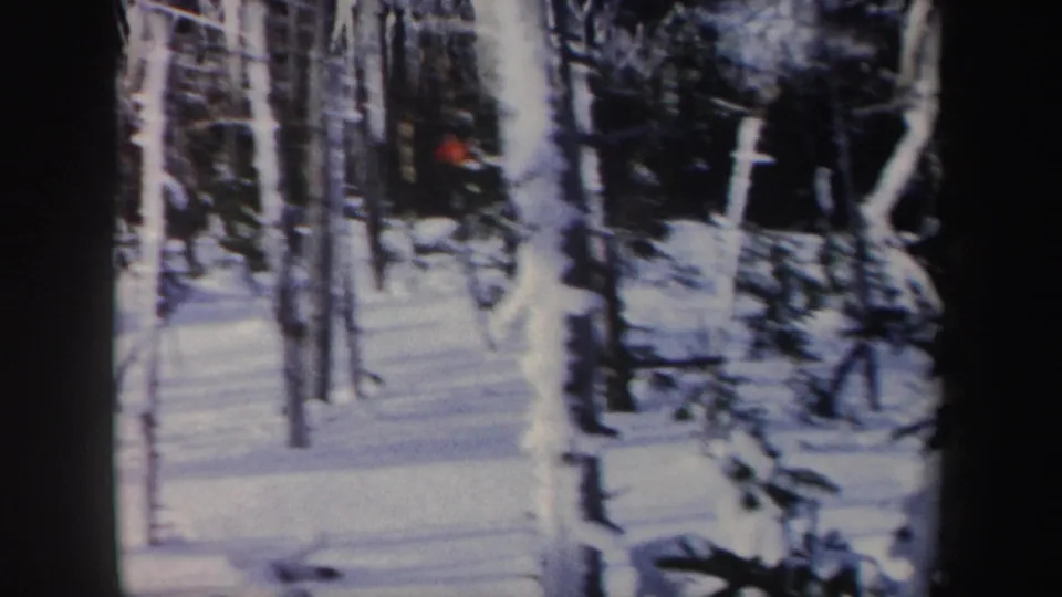 1962 New York 8mm frame showing a denser snowy forest view with vertical trunks and dark evergreen shapes.