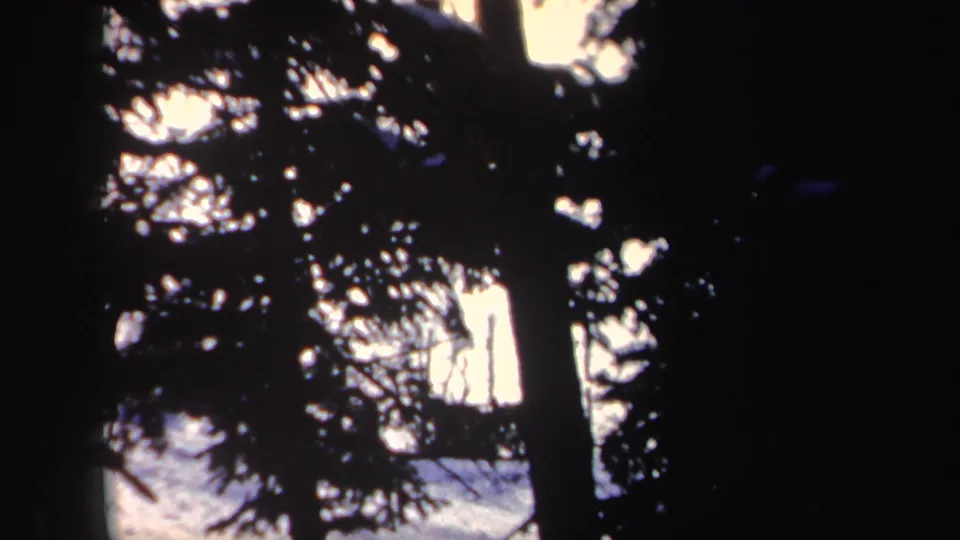 1962 New York home-movie frame with dark evergreen branches silhouetted over bright snow and winter sky glare.