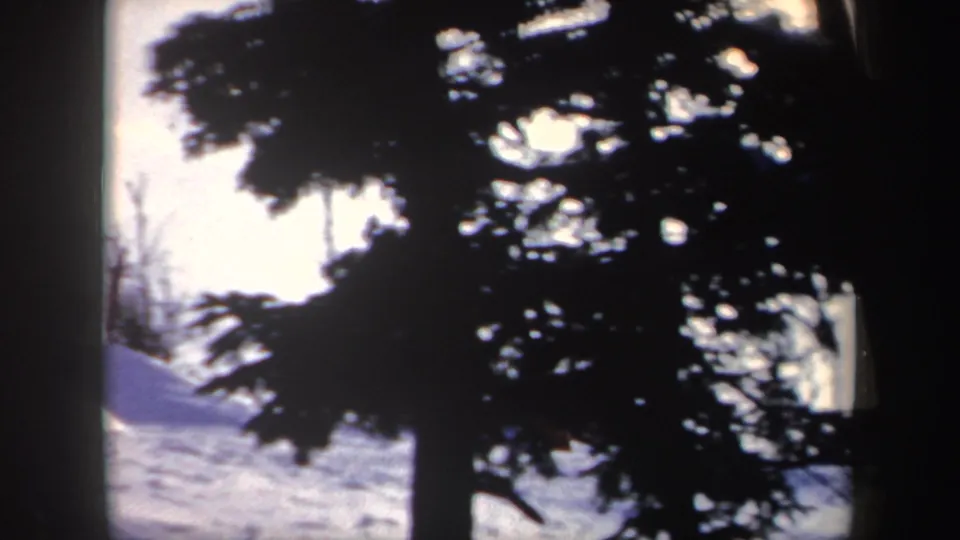 1962 New York 8mm view of a snow-covered slope seen through dark evergreen silhouettes.