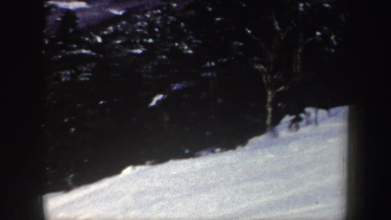 Snowy slope bordered by dark evergreen trees, with no clear skier visible in this frame.