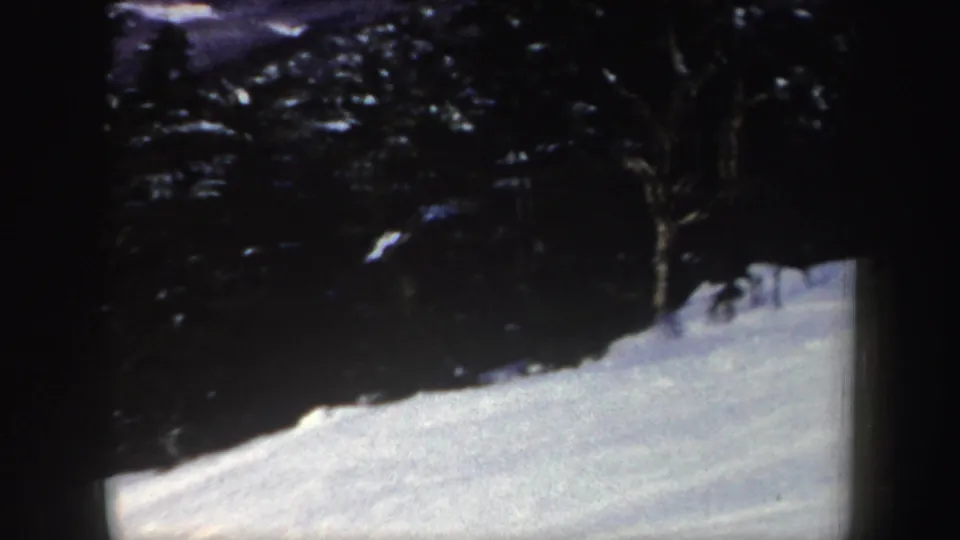 1962 New York 8mm frame of a snowy ski slope beside dark evergreen trees, with the action largely outside or obscured in the frame.