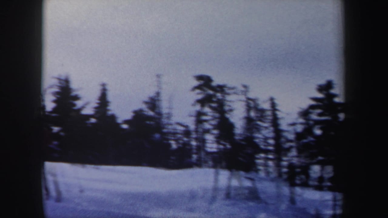 1962 New York 8mm frame of a snowy mountain slope lined with dark evergreen and bare trees, with no close subject in view.