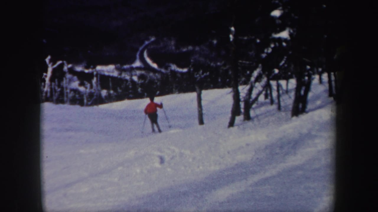 Skier in a red jacket moves across a snowy wooded slope.