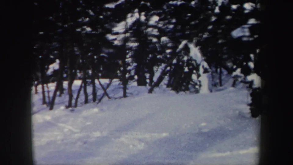 The final frame shows a snowy wooded downhill run in New York, with tracks across the snow and no clear face or branding visible.