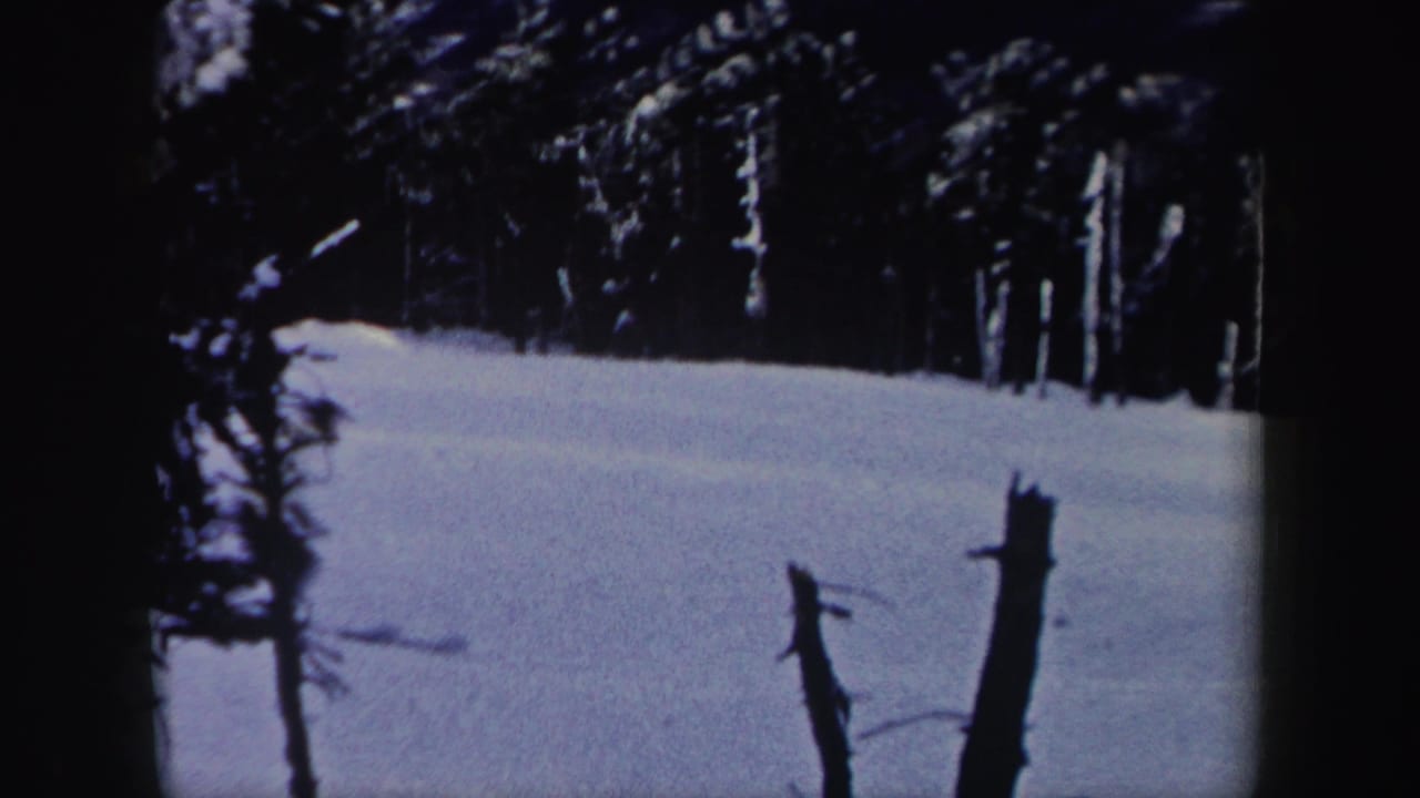 Snowy wooded slope with tree trunks in the foreground.