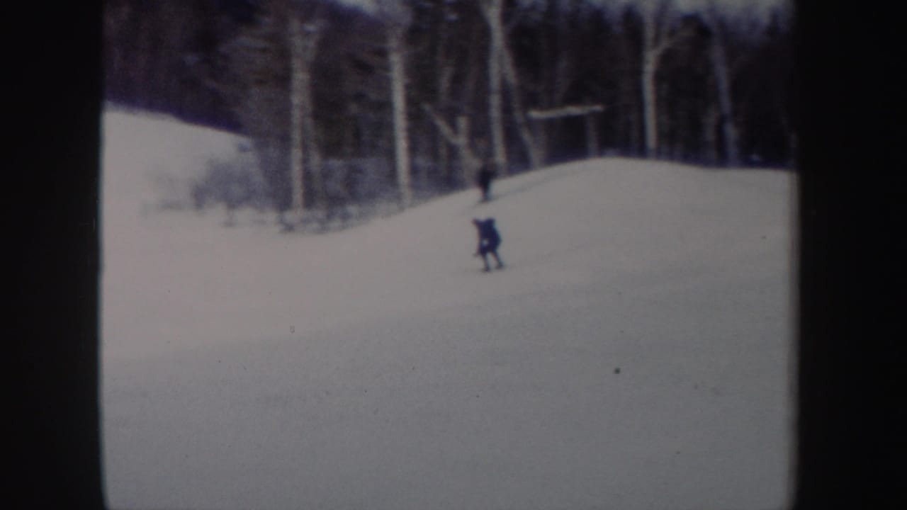 Distant skier on a snowy slope with bare trees behind.