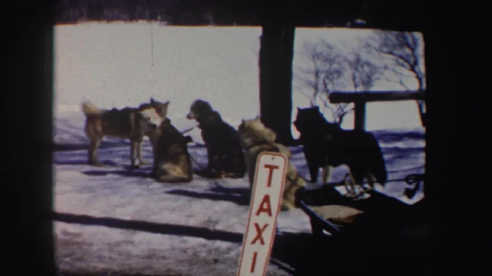 1962 New York 8mm frame showing sled dogs beside a dog sled in snow, with a vertical taxi sign in the foreground.
