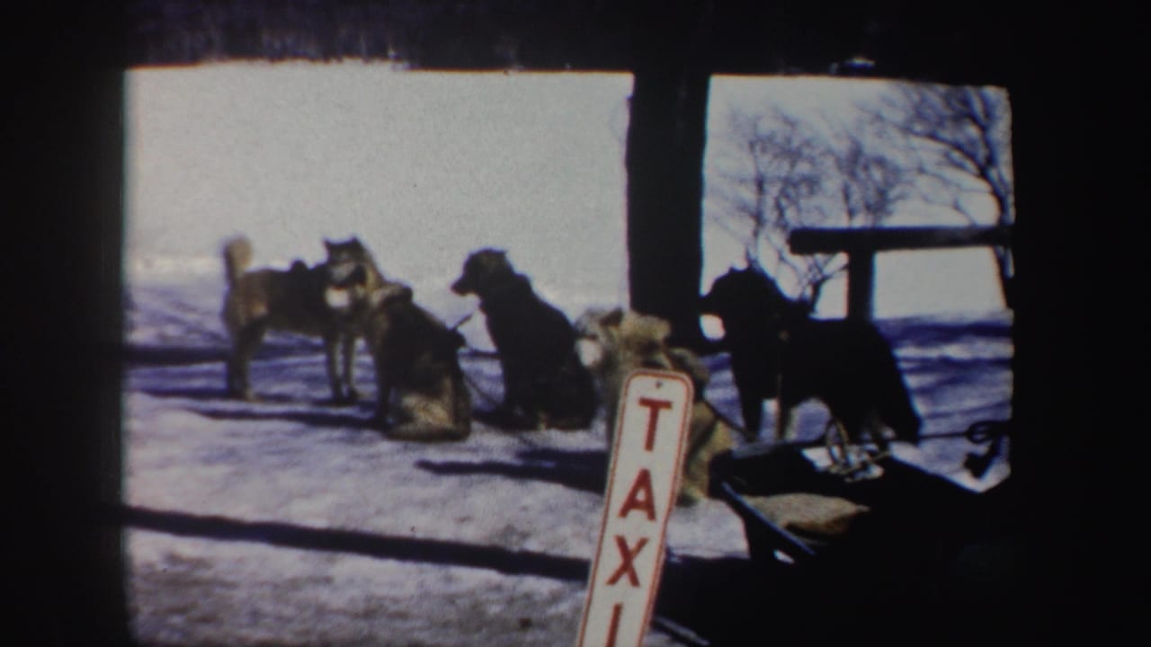 1962 New York 8mm frame showing several harnessed dogs on snow near a red-and-white TAXI sign and bare winter trees.