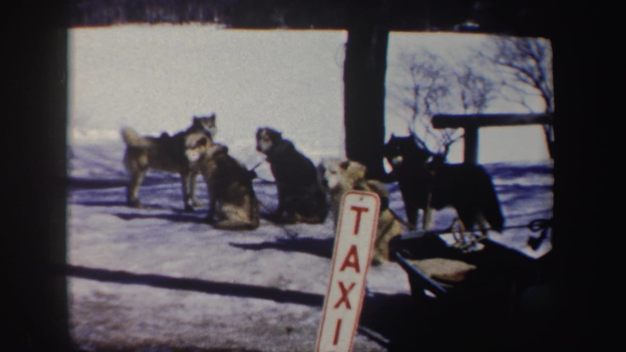 Several dogs stand and sit in snow with a TAXI sign in the foreground.