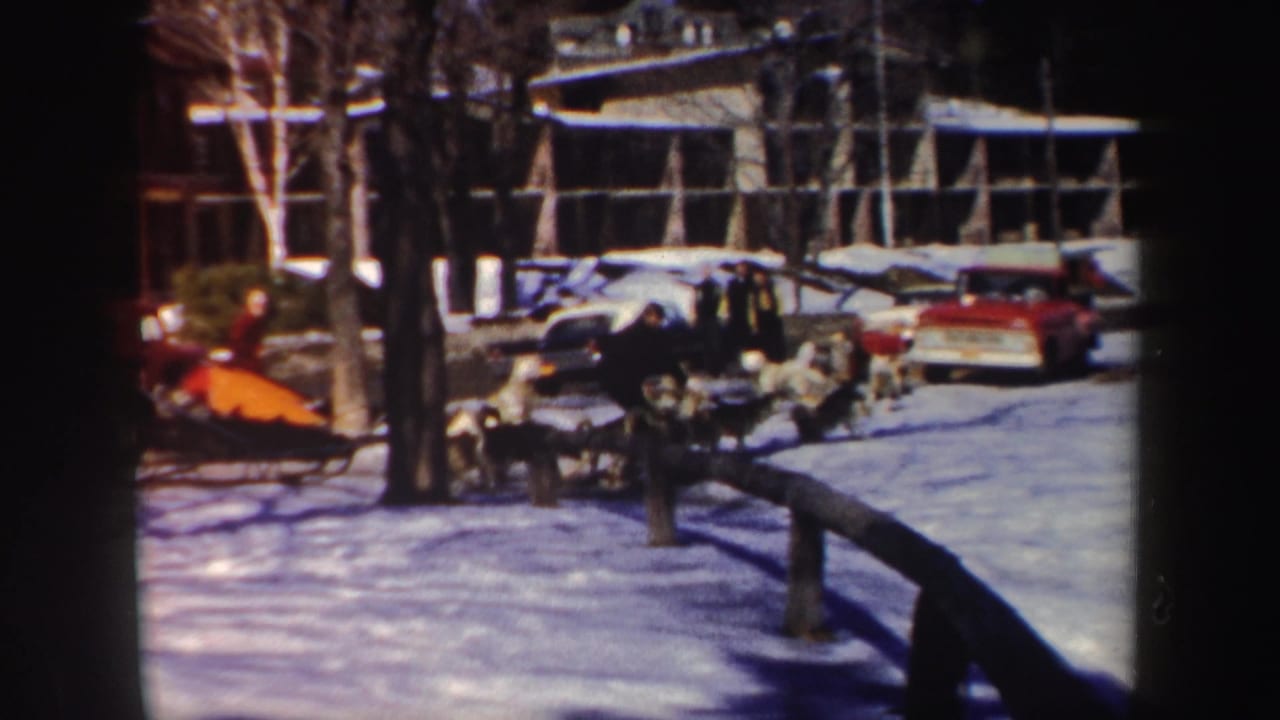 Dog team and sled on snowy ground near parked cars and a long building.