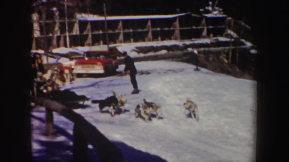 The dog team spreads across the snow as the rider trails behind, with parked cars and a lodge-like building in the background.