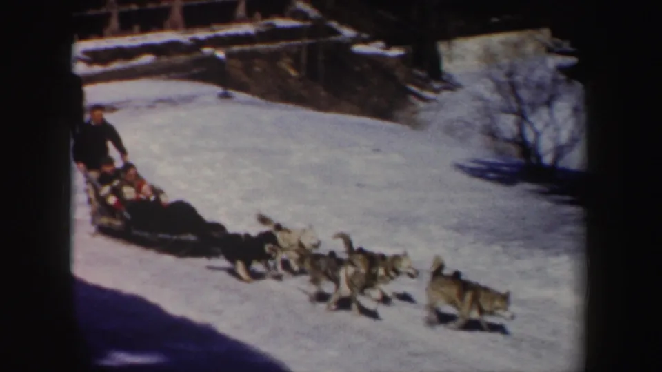 A line of sled dogs pulls the rider across bright snow, with bare shrubs, shadows, and a snowbank visible around the route.