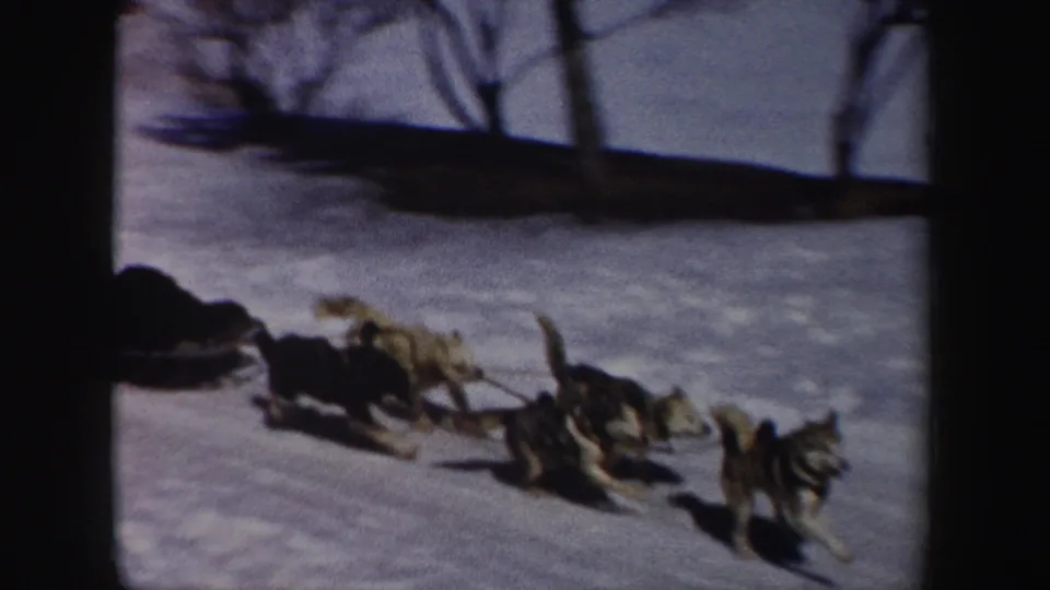 1962 New York 8mm frame showing a sled dog team moving across a snowy open area with bare trees and strong shadows nearby.