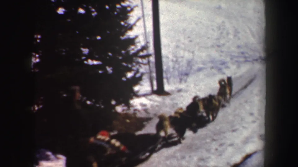 1962 New York 8mm frame showing sled dogs and a low sled moving along a snow-covered trail bordered by evergreen trees.
