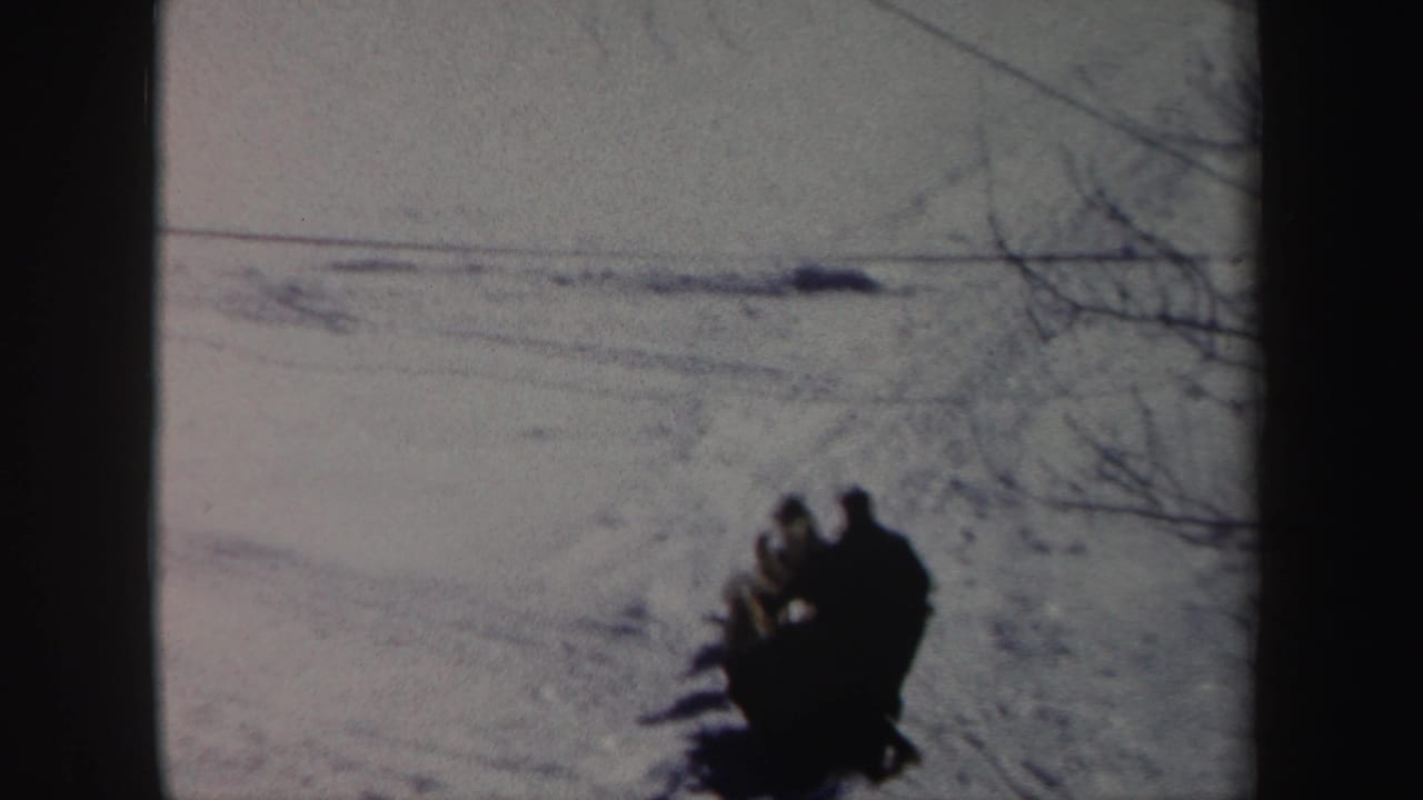 Dog sled team appears near the right side of a bright snowy field.