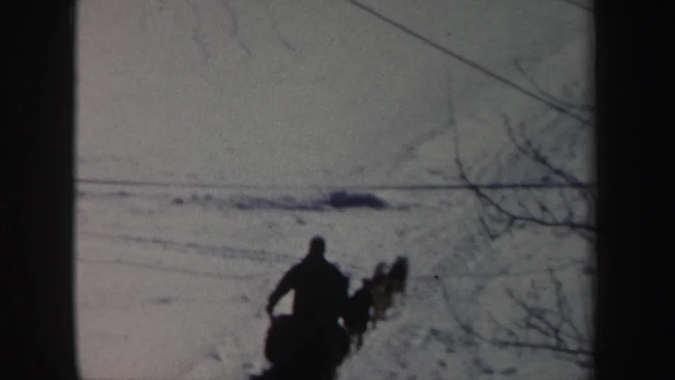 A silhouetted rider and several dogs continue across the snowy field in distant 8mm footage from New York.