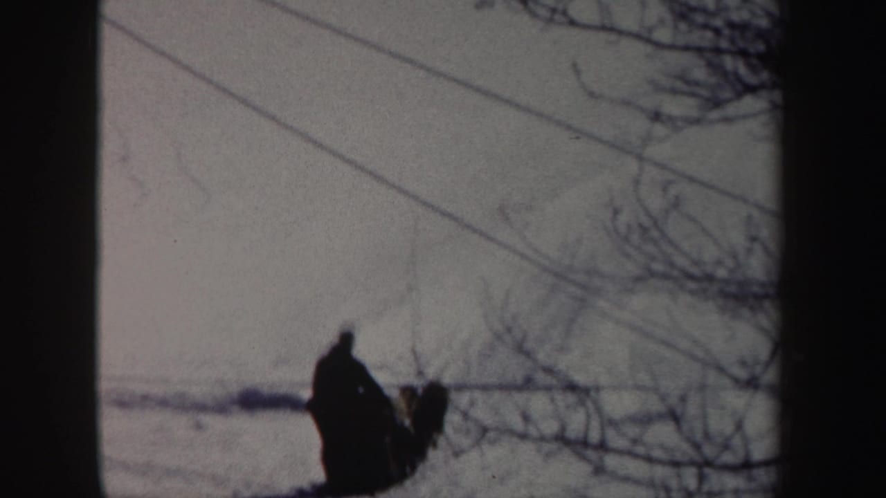 In 1962 New York 8mm footage, a bundled person appears with dogs on a snowy hillside framed by branches and utility lines.